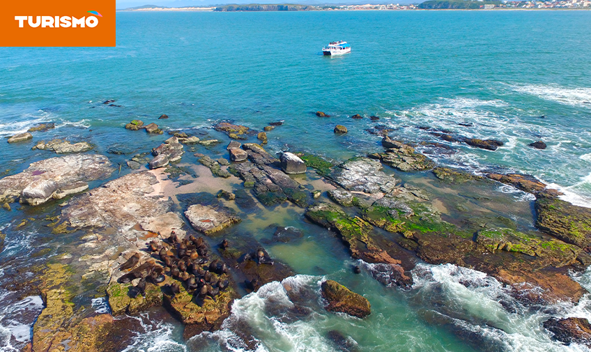 Conheça a Ilha dos Lobos: um passeio repleto de encanto