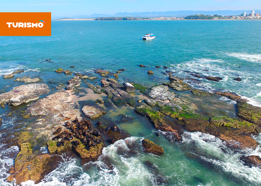 Conheça a Ilha dos Lobos: um passeio repleto de encanto