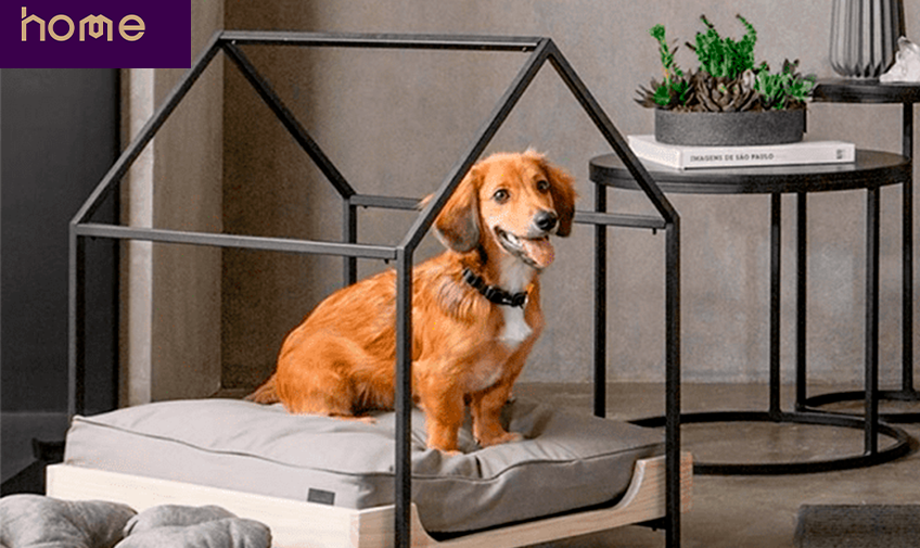Pet em apartamento: ideias de decoração
