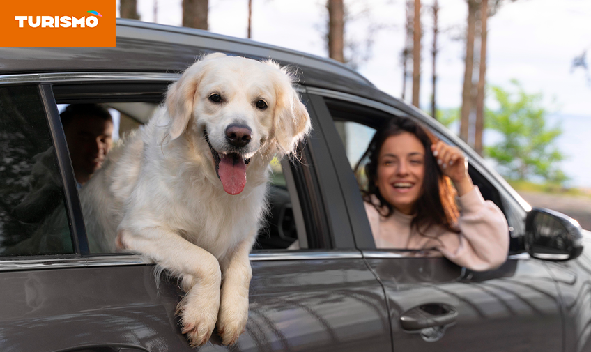 Para curtir com toda a família: confira 3 dicas para viajar com seu pet e viver momentos inesquecíveis