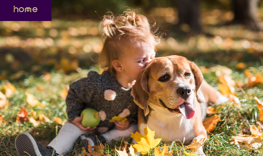 Jardim pet friendly: dicas para manter animais e plantas em harmonia